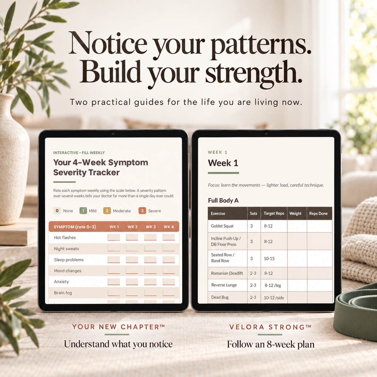 Velora Everyday Wellness™